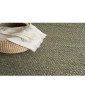Nourison Natural Jute Sage NJT01 5 ft. X 7 ft. Rectangle Rug