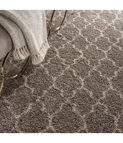 Nourison Amore Area Rug AMOR2-Stone