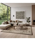 Nourison Dekor Brown Ivory DEK08 7 ft. 10 in. x 9 ft. 10 in. Rect. Rug