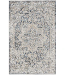 Nourison Home Astra Machine Washable ASW12 Grey Blue 4 ft. X 6 ft. Area Rug