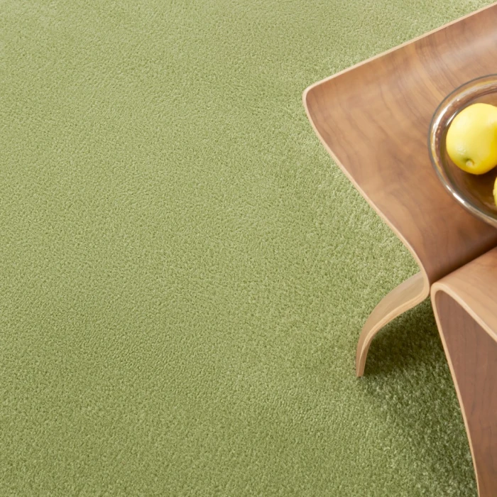 Nourison Essentials Green Area Rug NRE01-Green
