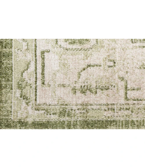 Nourison Astra Machine Washable Ivory Green ASW11 4 ft. X 6 ft. Rectangle Rug