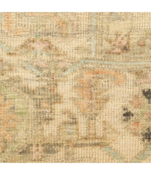 Nourison Heritage Vine Beige HTV01 2 ft. X 3 ft. Rect. Rug