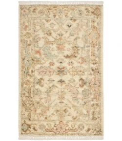 Nourison Home Heritage Vine HTV01 Beige 2 ft. X 3 ft. Area Rug