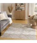 Nourison Dekor Ivory Beige DEK05 4 ft. X 6 ft. Rect. Rug