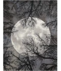 Nourison Twilight Area Rug TWI17 Moon 7'9" x 9'9"
