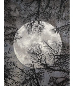 Nourison Home Twilight TWI17 Moon 7 ft. 9 in. X 9 ft. 9 in. Area Rug