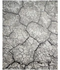 Nourison Divine Charcoal DIV01 9 ft. X 12 ft. Rect. Rug