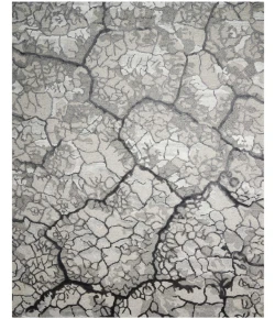 Nourison Home Divine DIV01 Charcoal 8 ft. 6 in. X 11 ft. 6 in. Area Rug