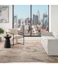 DKNY Central Park West Beige Brown CEP01 5 ft. X 7 ft. Rect. Rug
