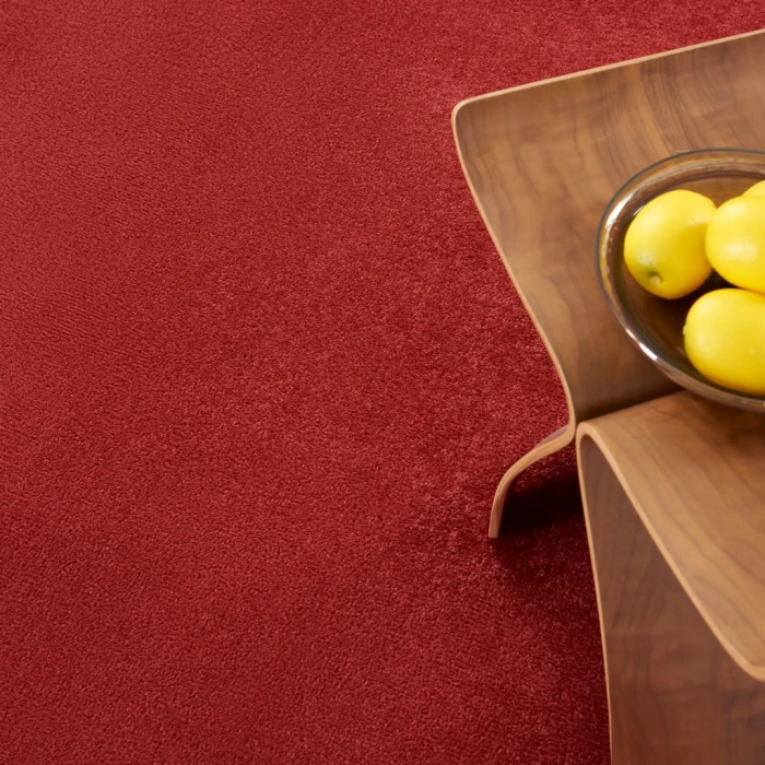 Nourison Essentials Brick Red Area Rug NRE01-Brick Red