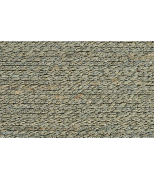 Nourison Natural Jute Sage NJT01 5 ft. X 7 ft. Rectangle Rug