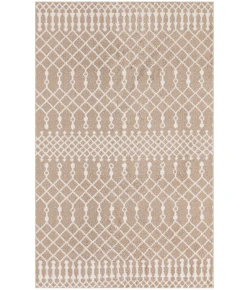 Nourison Home Astra Machine Washable ASW10 Taupe 3 ft. 3 in. X 5 ft. Area Rug
