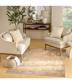 Nourison Home Vintage Washables VWS09 Taupe Multicolor 5 ft. 3 in. X 7 ft. 3 in. Area Rug