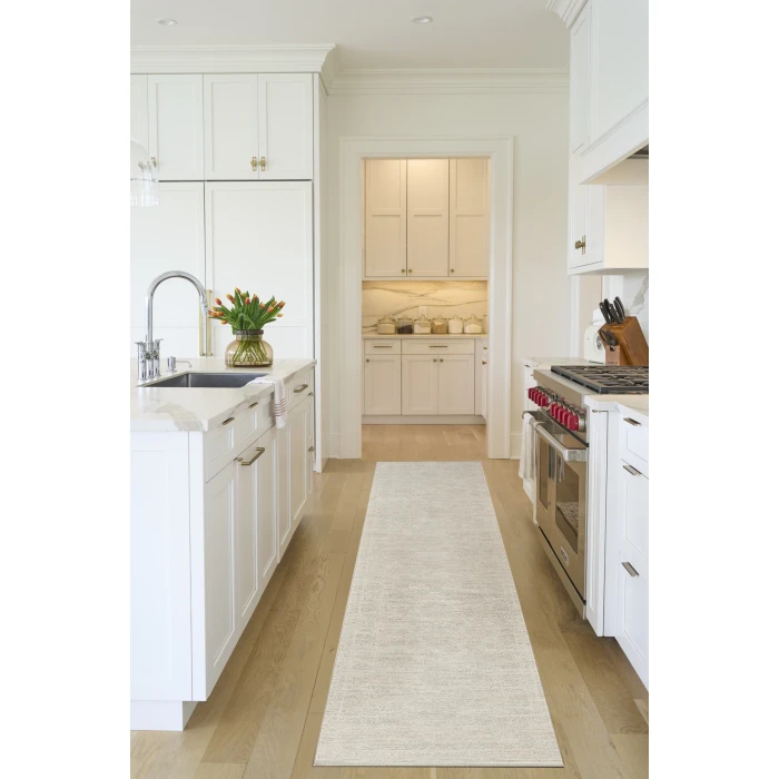 Nourison Shadows Ivory Grey SHW03 12 ft. Rect. Rug