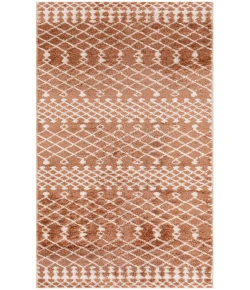 Nourison Home Astra Machine Washable ASW10 Copper 2 ft. X 6 ft. Area Rug