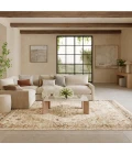 Nourison Home Pardis Cream / Ivory PRD02 7ft.10in. x 9ft.10in. Rect. Rug