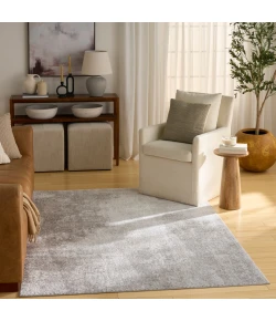 Nourison Home Dekor DEK04 Grey 5 ft. 3 in. X 7 ft. Area Rug