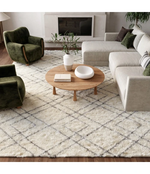 Nourison Home Dreamy Shag Cream / Ivory DRS07 7ft.10in. x 9ft.10in. Rect. Rug