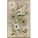 Nourison Home Aloha ALH33 Ivory Green 9 ft. X 12 ft. Area Rug