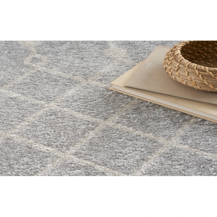 Nourison Astra Machine Washable Grey ASW10 10 ft. X 14 ft. Rectangle Rug