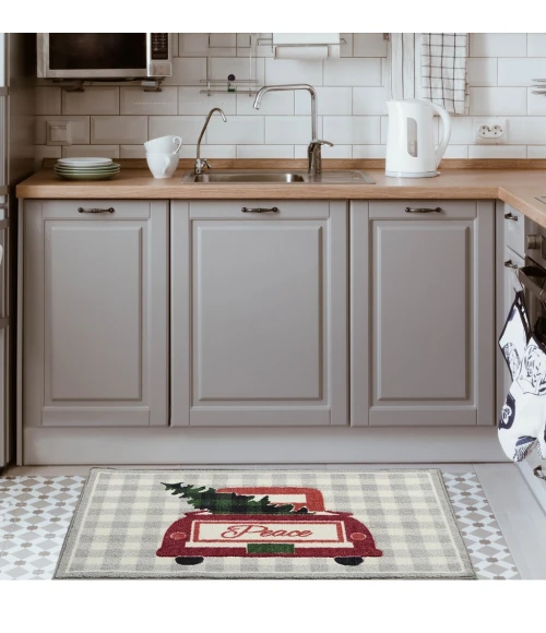 Nourison Accent Decor/Xmas Area Rug 101JP-Grey