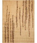 Nourison Home Radiant Impression Brown LK04 7ft.9in. x 10ft.10in. Rect. Rug