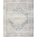 Nourison Home Astra Machine Washable ASW11 Light Blue 7 ft. 10 in. X 10 ft. Area Rug