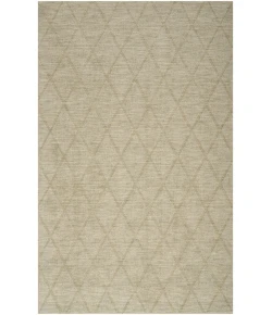 Nourison Home Wool Haven WOH01 Sage 5 ft. 3 in. X 7 ft. 3 in. Area Rug