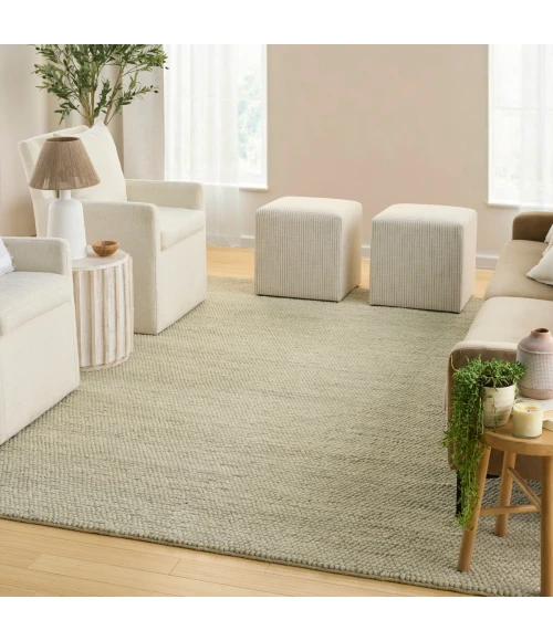 DKNY Pure Knots Sage KNT01 9 ft. X 12 ft. Rect. Rug