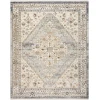 Nourison Home Pardis Blue PRD02 7ft.10in. x 9ft.10in. Rect. Rug