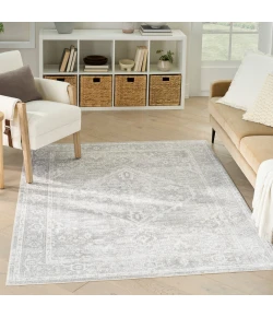 Nourison Home Astra Machine Washable ASW11 Light Grey 4 ft. X 6 ft. Area Rug