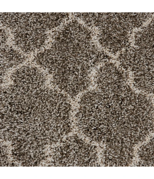 Nourison Amore Area Rug AMOR2-Stone