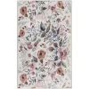 Nourison Home Nourison Washables NWB01 Ivory Pink 3 ft. X 5 ft. Area Rug