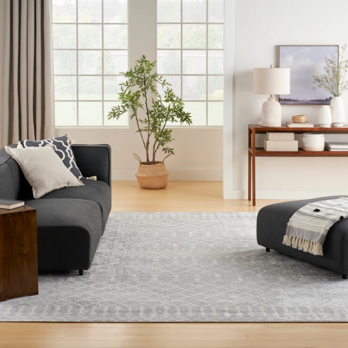 Nourison Astra Machine Washable Area Rug ASW10 Grey