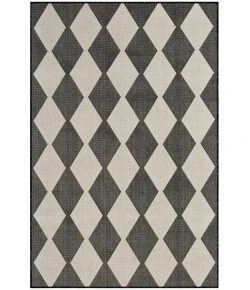 Nourison Home Positano POS04 Black 4 ft. X 6 ft. Area Rug