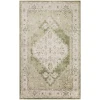 Nourison Home Astra Machine Washable ASW11 Ivory Green 4 ft. X 6 ft. Area Rug