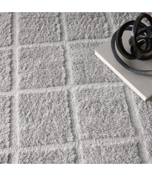 DKNY West End Ave Grey WTE01 6 ft. X 9 ft. Rect. Rug