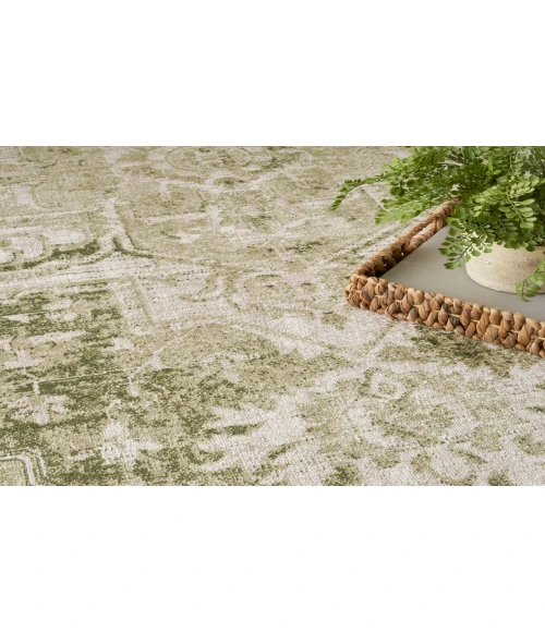 Nourison Astra Machine Washable Ivory Green ASW12 4 ft. X 6 ft. Rectangle Rug