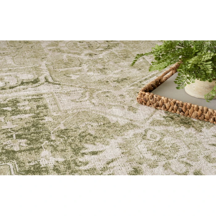 Nourison Astra Machine Washable Ivory Green ASW12 4 ft. X 6 ft. Rectangle Rug