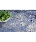 Nourison Passion Light Blue Black PSN10 9 ft. X 12 ft. Rectangle Rug