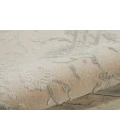 Nourison Home Opaline Beige OPA11 5ft.6in. x 7ft.5in. Rect. Rug
