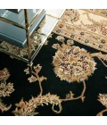 Nourison 2000 Area Rug 2022-Black