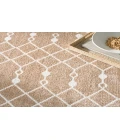 Nourison Astra Machine Washable Taupe ASW10 9 ft. X 12 ft. Rectangle Rug