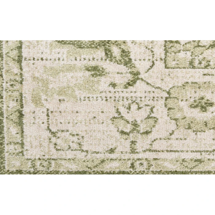Nourison Astra Machine Washable Ivory Green ASW12 4 ft. X 6 ft. Rectangle Rug
