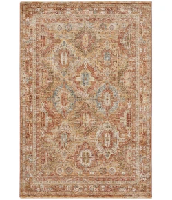 Nourison Home Sahar SHR01 Rust 5 ft. 3 in. X 7 ft. 8 in. Area Rug