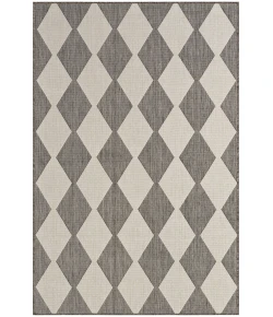 Nourison Home Positano POS04 Charcoal 4 ft. X 6 ft. Area Rug