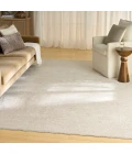 Nourison Shadows Ivory Grey SHW03 8 ft. X 10 ft. Rect. Rug