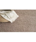 Nourison Natural Jute Grey NJT01 4 ft. X 6 ft. Rectangle Rug