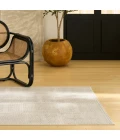 Nourison Home Nordic Taupe NRC11 5 ft. X 7 ft. Rectangle Rug